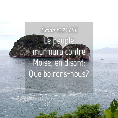 Picture 04 - Exode 15:24 LSG - Le peuple murmura contre Moïse, en disant: Que - Bible Verse Picture