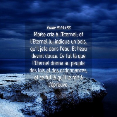 Picture 04 - Exode 15:25 LSG - Moïse cria à l'Eternel; et l'Eternel lui - Bible Verse Picture