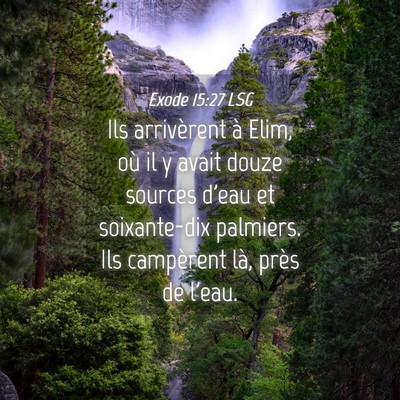 Picture 04 - Exode 15:27 LSG - Ils arrivèrent à Elim, où il y avait douze - Bible Verse Picture