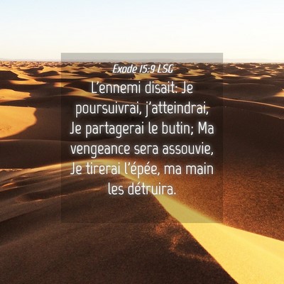 Picture 04 - Exode 15:9 LSG - L'ennemi disait: Je poursuivrai, j'atteindrai, Je - Bible Verse Picture
