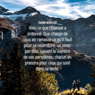 Picture 04 - Exode 16:16 LSG - Voici ce que l'Eternel a ordonné: Que chacun de - Bible Verse Picture