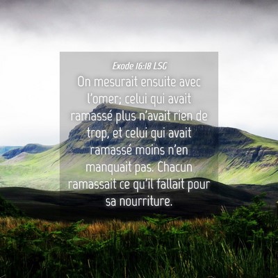 Picture 04 - Exode 16:18 LSG - On mesurait ensuite avec l'omer; celui qui avait - Bible Verse Picture