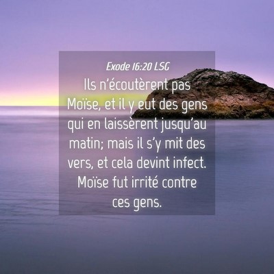 Picture 04 - Exode 16:20 LSG - Ils n'écoutèrent pas Moïse, et il y eut des - Bible Verse Picture