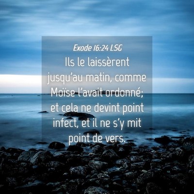 Picture 04 - Exode 16:24 LSG - Ils le laissèrent jusqu'au matin, comme Moïse - Bible Verse Picture