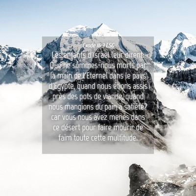 Picture 04 - Exode 16:3 LSG - Les enfants d'Israël leur dirent: Que ne - Bible Verse Picture