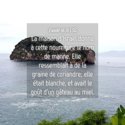 Picture 04 - Exode 16:31 LSG - La maison d'Israël donna à cette nourriture le - Bible Verse Picture