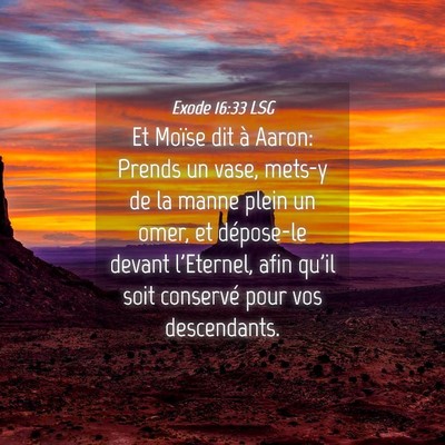 Picture 04 - Exode 16:33 LSG - Et Moïse dit à Aaron: Prends un vase, mets-y de - Bible Verse Picture