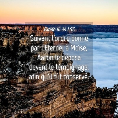 Picture 04 - Exode 16:34 LSG - Suivant l'ordre donné par l'Eternel à Moïse, - Bible Verse Picture