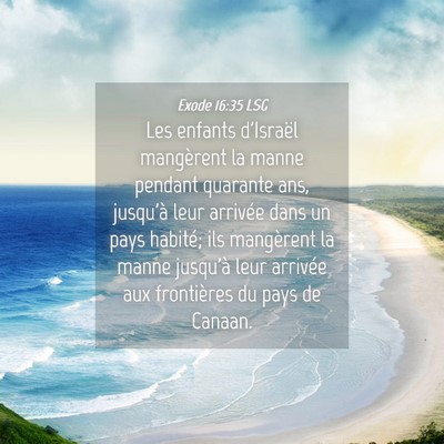 Picture 04 - Exode 16:35 LSG - Les enfants d'Israël mangèrent la manne pendant - Bible Verse Picture