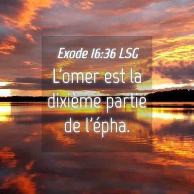 Picture 04 - Exode 16:36 LSG - L'omer est la dixième partie de - Bible Verse Picture