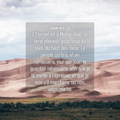 Picture 04 - Exode 16:4 LSG - L'Eternel dit à Moïse: Voici, je ferai pleuvoir - Bible Verse Picture