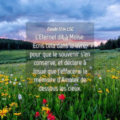 Picture 04 - Exode 17:14 LSG - L'Eternel dit à Moïse: Ecris cela dans le - Bible Verse Picture