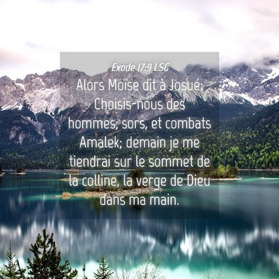 Picture 04 - Exode 17:9 LSG - Alors Moïse dit à Josué: Choisis-nous des - Bible Verse Picture