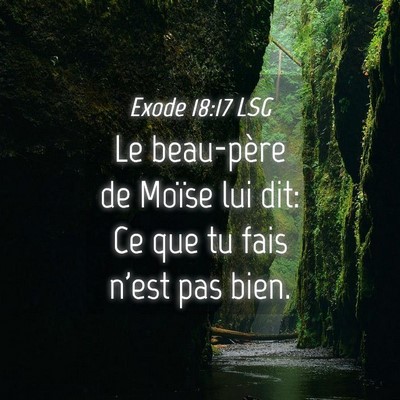 Picture 04 - Exode 18:17 LSG - Le beau-père de Moïse lui dit: Ce que tu fais - Bible Verse Picture