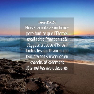 Picture 04 - Exode 18:8 LSG - Moïse raconta à son beau-père tout ce que - Bible Verse Picture