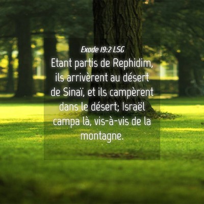 Picture 04 - Exode 19:2 LSG - Etant partis de Rephidim, ils arrivèrent au - Bible Verse Picture