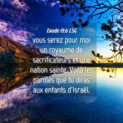 Picture 04 - Exode 19:6 LSG - vous serez pour moi un royaume de sacrificateurs - Bible Verse Picture