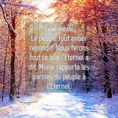Picture 04 - Exode 19:8 LSG - Le peuple tout entier répondit: Nous ferons tout - Bible Verse Picture