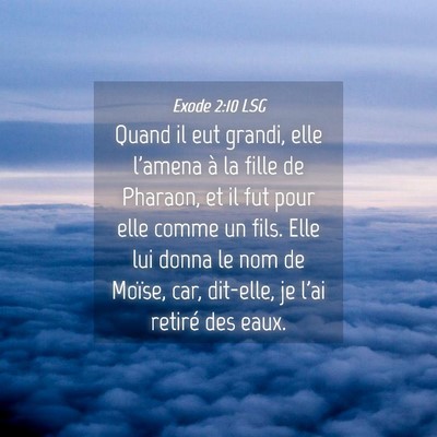 Picture 04 - Exode 2:10 LSG - Quand il eut grandi, elle l'amena à la fille de - Bible Verse Picture