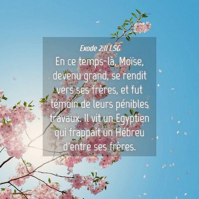 Picture 04 - Exode 2:11 LSG - En ce temps-là, Moïse, devenu grand, se rendit - Bible Verse Picture