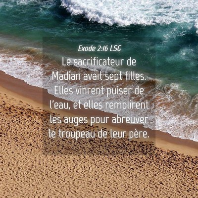 Picture 04 - Exode 2:16 LSG - Le sacrificateur de Madian avait sept filles. - Bible Verse Picture