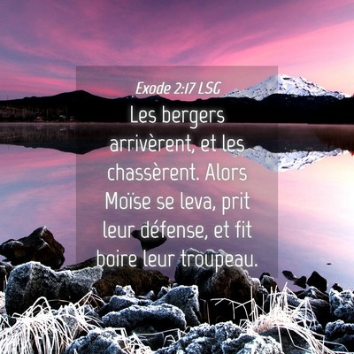 Picture 04 - Exode 2:17 LSG - Les bergers arrivèrent, et les chassèrent. - Bible Verse Picture