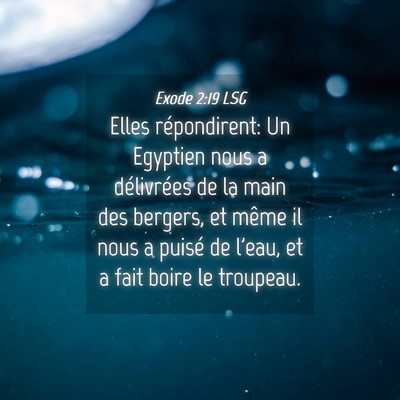 Picture 04 - Exode 2:19 LSG - Elles répondirent: Un Egyptien nous a - Bible Verse Picture