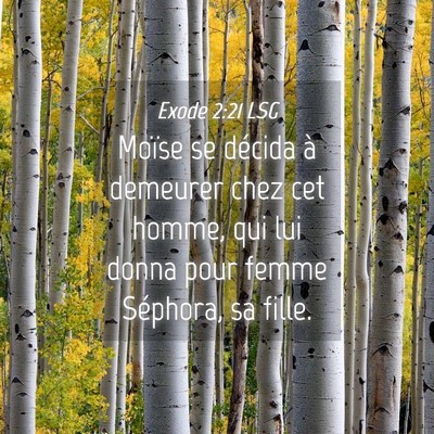 Picture 04 - Exode 2:21 LSG - Moïse se décida à demeurer chez cet homme, qui - Bible Verse Picture