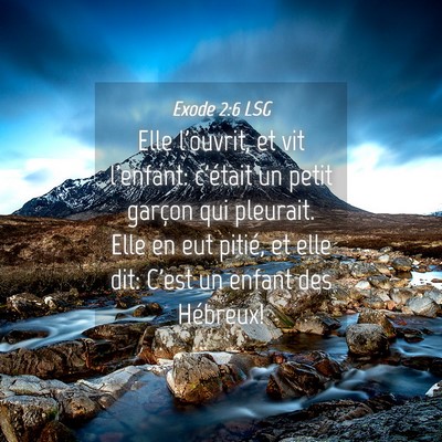 Picture 04 - Exode 2:6 LSG - Elle l'ouvrit, et vit l'enfant: c'était un petit - Bible Verse Picture