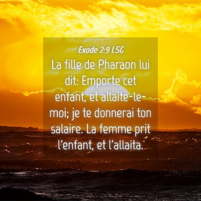 Picture 04 - Exode 2:9 LSG - La fille de Pharaon lui dit: Emporte cet enfant, - Bible Verse Picture