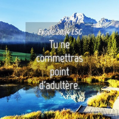 Picture 04 - Exode 20:14 LSG - Tu ne commettras point - Bible Verse Picture