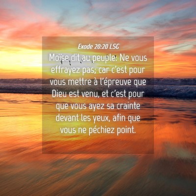 Picture 04 - Exode 20:20 LSG - Moïse dit au peuple: Ne vous effrayez pas; car - Bible Verse Picture