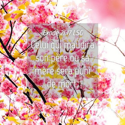 Picture 04 - Exode 21:17 LSG - Celui qui maudira son père ou sa mère sera puni - Bible Verse Picture