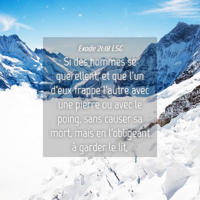 Picture 04 - Exode 21:18 LSG - Si des hommes se querellent, et que l'un d'eux - Bible Verse Picture