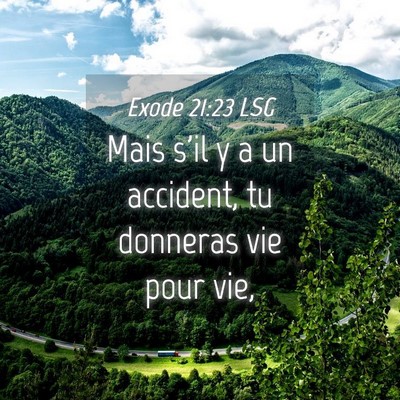 Picture 04 - Exode 21:23 LSG - Mais s'il y a un accident, tu donneras vie pour - Bible Verse Picture