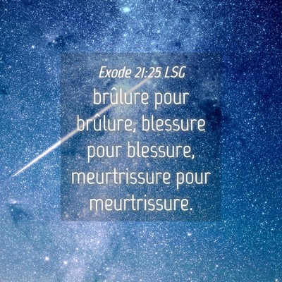 Picture 04 - Exode 21:25 LSG - brûlure pour brûlure, blessure pour blessure, - Bible Verse Picture