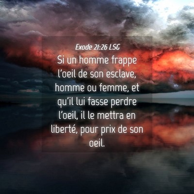 Picture 04 - Exode 21:26 LSG - Si un homme frappe l'oeil de son esclave, homme - Bible Verse Picture