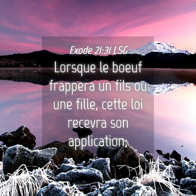 Picture 04 - Exode 21:31 LSG - Lorsque le boeuf frappera un fils ou une fille, - Bible Verse Picture