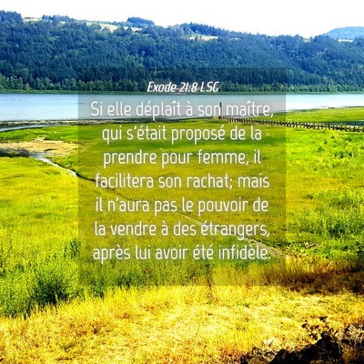Picture 04 - Exode 21:8 LSG - Si elle déplaît à son maître, qui s'était - Bible Verse Picture