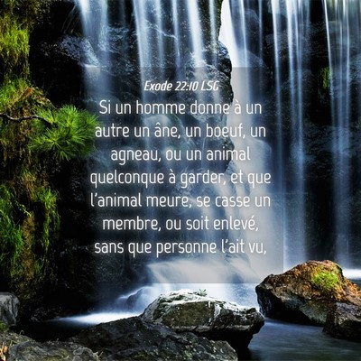 Picture 04 - Exode 22:10 LSG - Si un homme donne à un autre un âne, un boeuf, - Bible Verse Picture