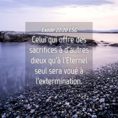 Picture 04 - Exode 22:20 LSG - Celui qui offre des sacrifices à d'autres dieux - Bible Verse Picture