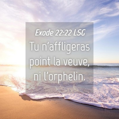 Picture 04 - Exode 22:22 LSG - Tu n'affligeras point la veuve, ni - Bible Verse Picture