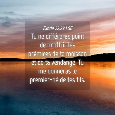 Picture 04 - Exode 22:29 LSG - Tu ne différeras point de m'offrir les prémices - Bible Verse Picture