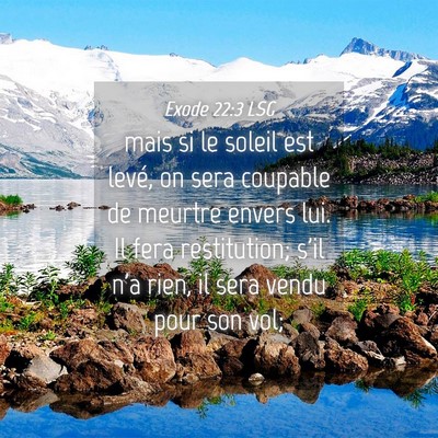 Picture 04 - Exode 22:3 LSG - mais si le soleil est levé, on sera coupable de - Bible Verse Picture