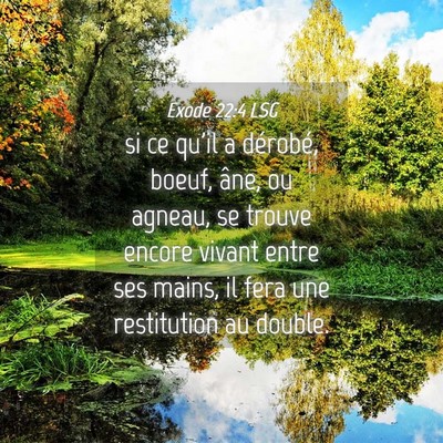 Picture 04 - Exode 22:4 LSG - si ce qu'il a dérobé, boeuf, âne, ou agneau, - Bible Verse Picture