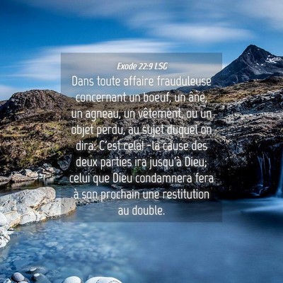 Picture 04 - Exode 22:9 LSG - Dans toute affaire frauduleuse concernant un - Bible Verse Picture