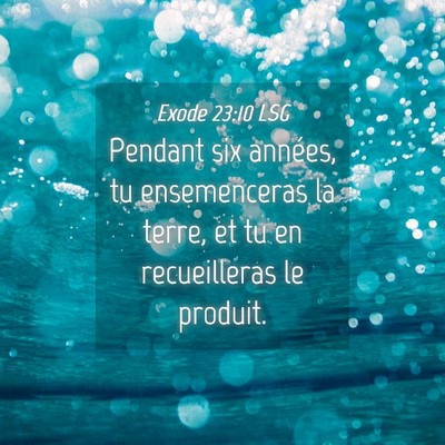Picture 04 - Exode 23:10 LSG - Pendant six années, tu ensemenceras la terre, et - Bible Verse Picture