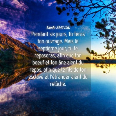 Picture 04 - Exode 23:12 LSG - Pendant six jours, tu feras ton ouvrage. Mais le - Bible Verse Picture