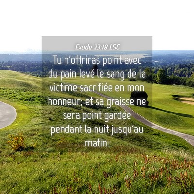 Picture 04 - Exode 23:18 LSG - Tu n'offriras point avec du pain levé le sang de - Bible Verse Picture