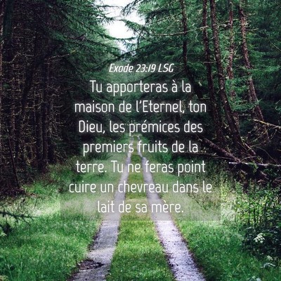 Picture 04 - Exode 23:19 LSG - Tu apporteras à la maison de l'Eternel, ton - Bible Verse Picture
